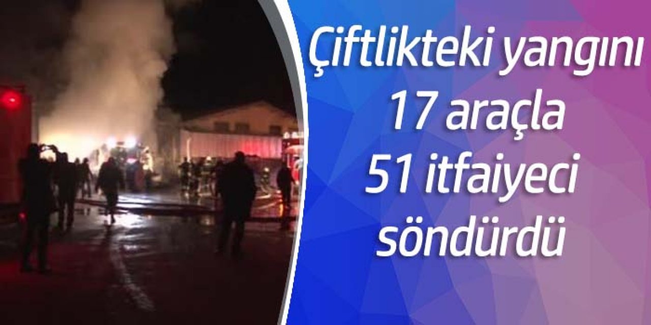 Elektrik kontağı tavuk çiftliğini yaktı