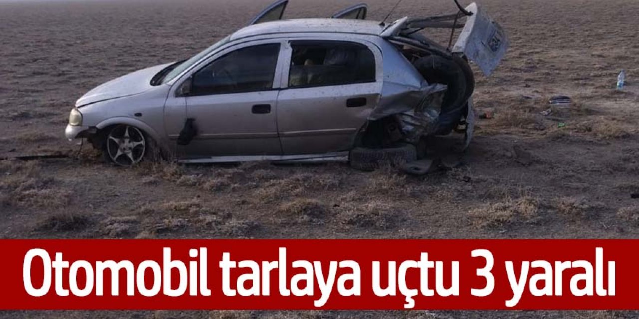 Kontrolden çıkan otomobil tarlaya uçtu: 3 yaralı