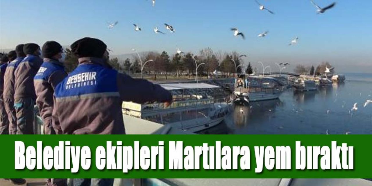 Kısmen donan Beyşehir Gölü'ne martılar için yem bırakıldı