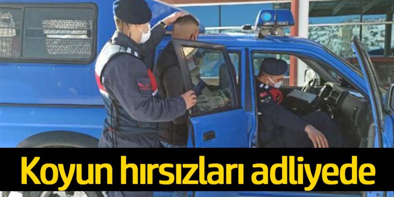 Ağıldan 124 koyun hırsızlığıyla ilgili 9 şüpheli adliyede