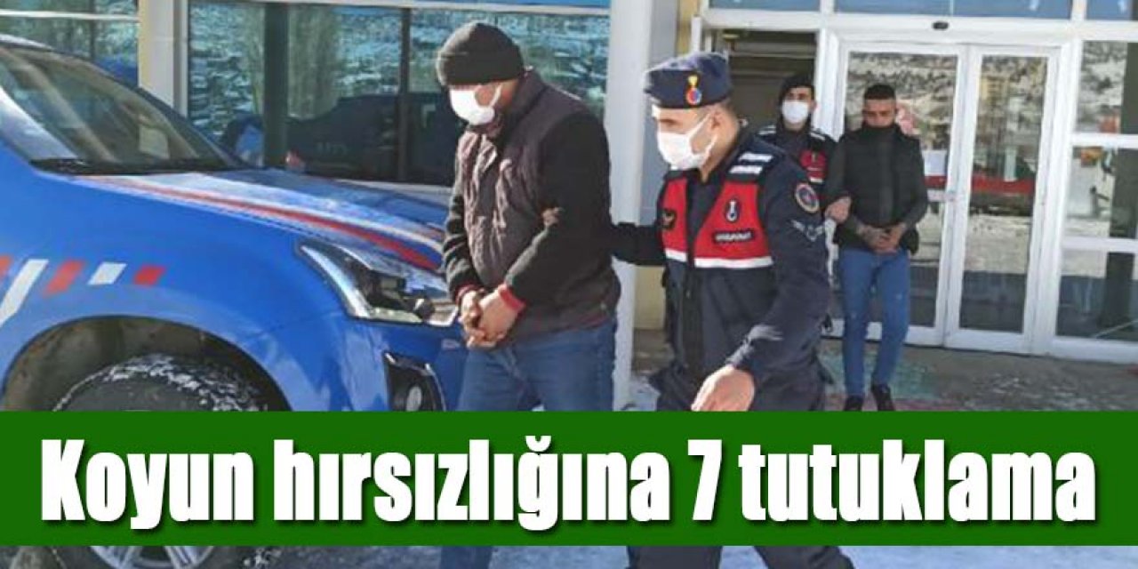 Ağıldan 124 koyun çalan 7 kişi tutuklandı