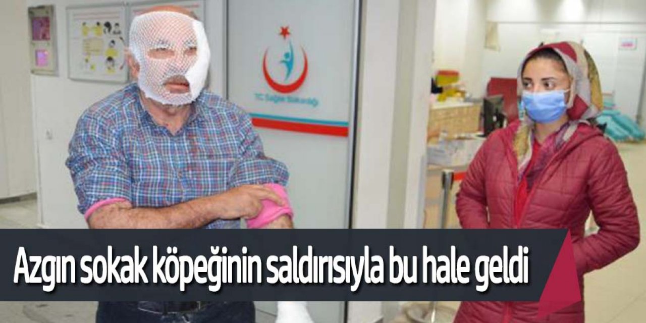 Torunlarını köpek saldırısından kurtaran dede, kendi yaralandı