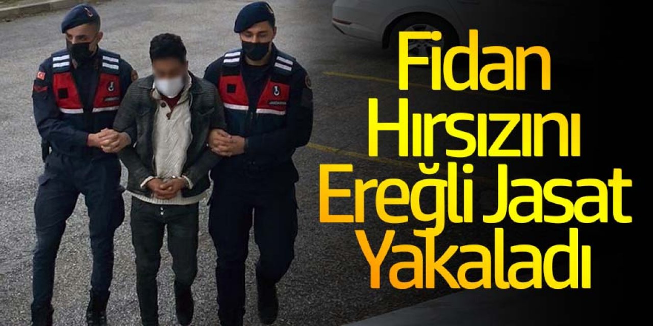 MEYVE FİDANI HIRSIZINI JANDARMA YAKALADI
