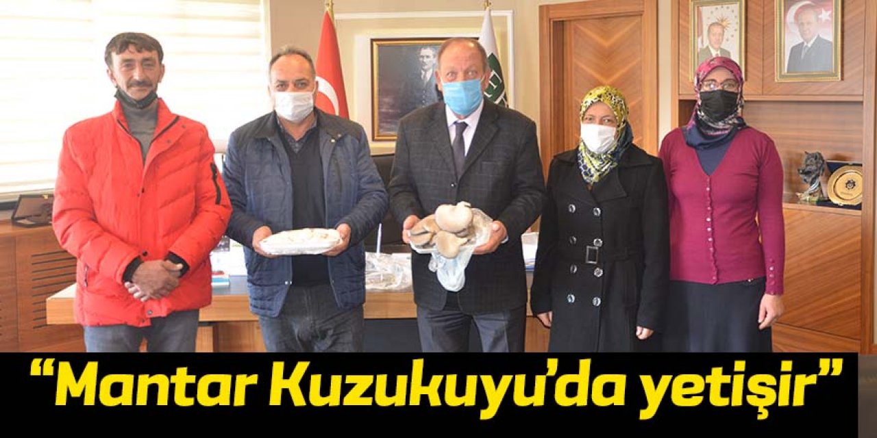 “Mantar Kuzukuyu’da yetişir”