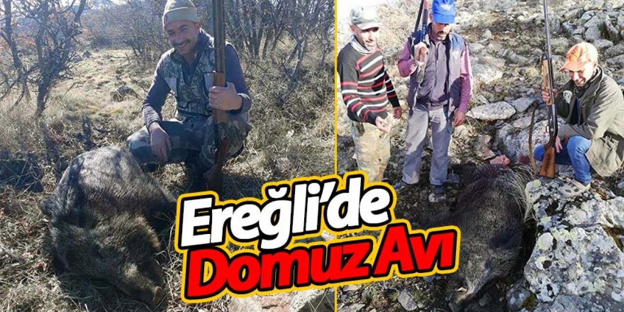 TARIM ARAZİLERİNE ZARAR VEREN DOMUZLAR TEMİZLENDİ