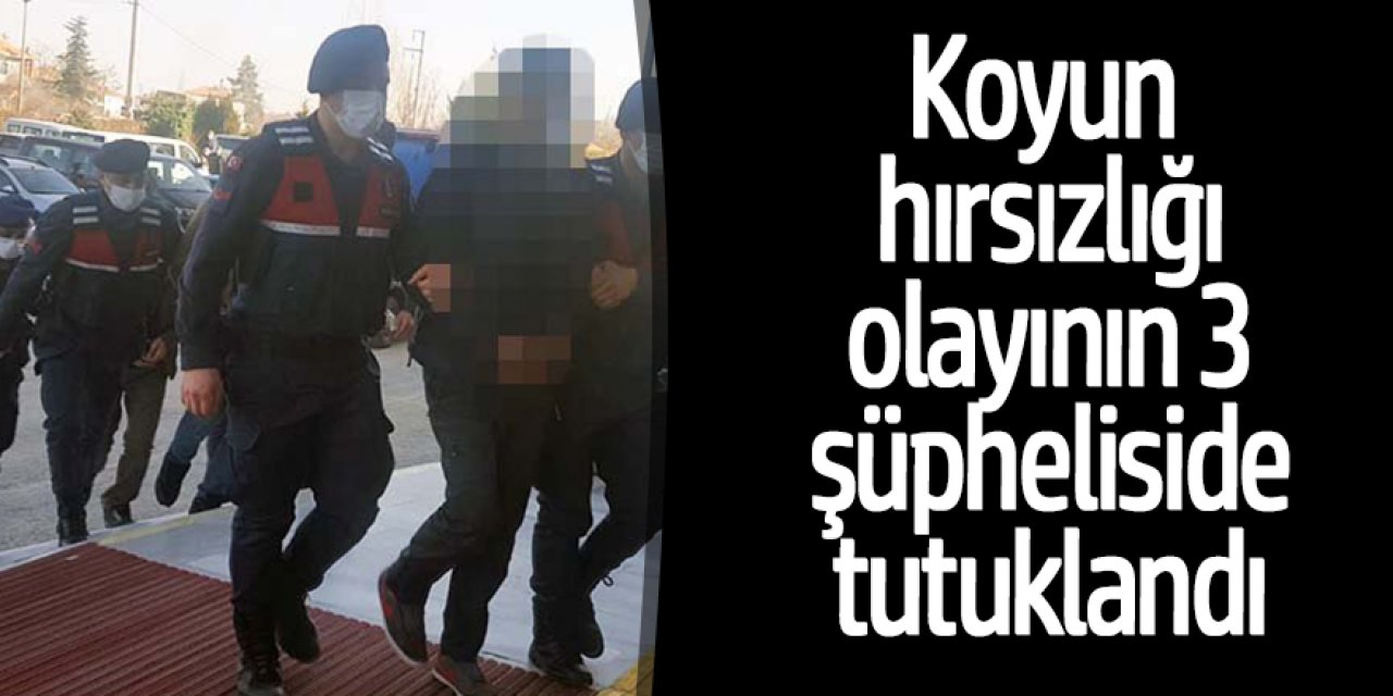 Şehit Annesinin Koyunlarını Çalan 3 şüpheli tutuklandı