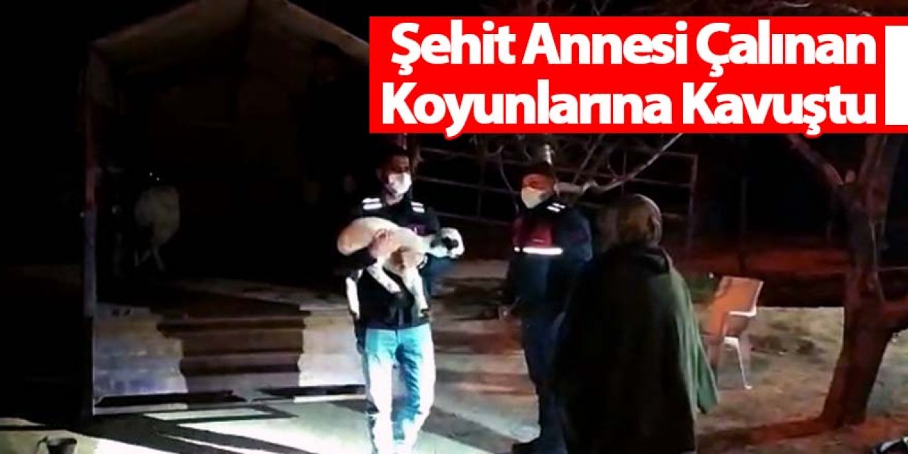 Şehit annesi oğlunun ismini verdiği kuzusu ile koyunlarına kavuştu