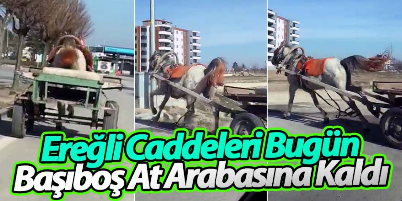 Ereğli’de trafikte başıboş at arabası tehlike saçtı