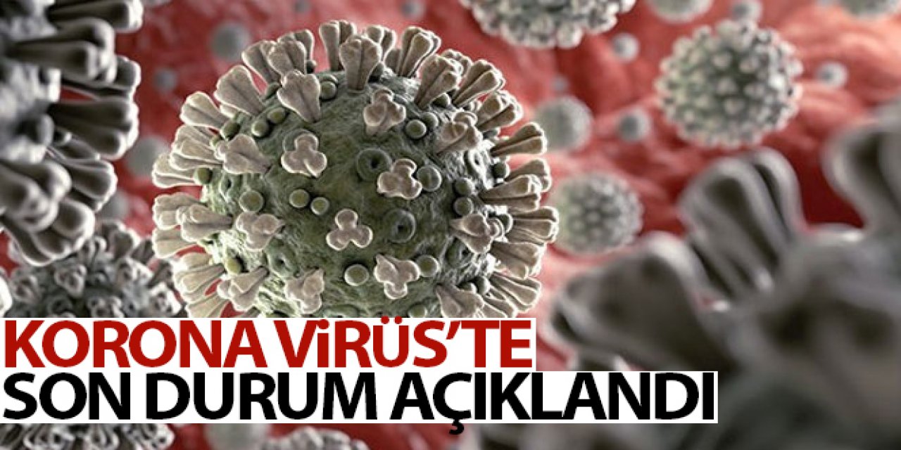 Türkiye'nin son 24 saatlik korona virüs tablosu açıklandı