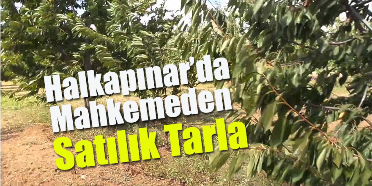 Halkapınar’da Mahkemeden Satılık Tarla