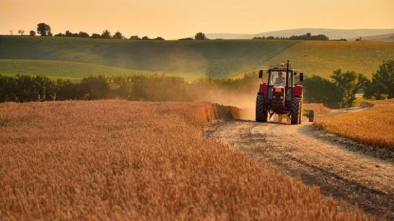 Tarımsal girdi fiyat endeksi Aralık 2020'de arttı