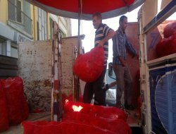 Salçalık biber satışları başladı