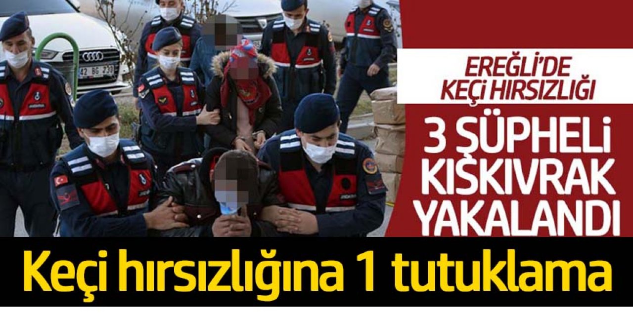 KEÇİ HIRSIZLIĞININ ŞÜPHELİSİ TUTUKLANDI