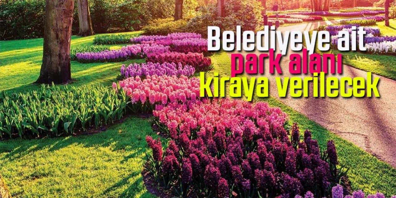 Belediyeye ait park alanı kiraya verilecek