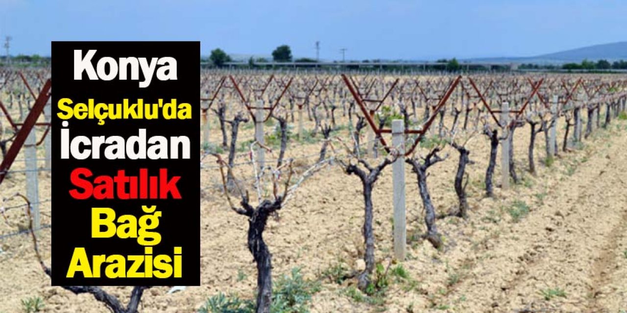 Konya Selçuklu'da İcradan Satılık Bağ Arazisi 