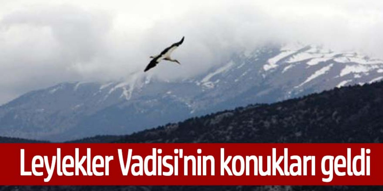  Leylekler Vadisi'nin konukları geldi