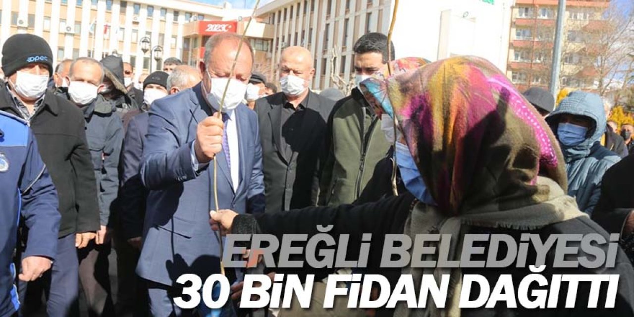 Ereğli Belediyesi’nden vatandaşlarına 30 Bin Fidan