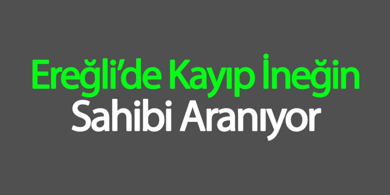 Kayıp inekleri jandarma buldu