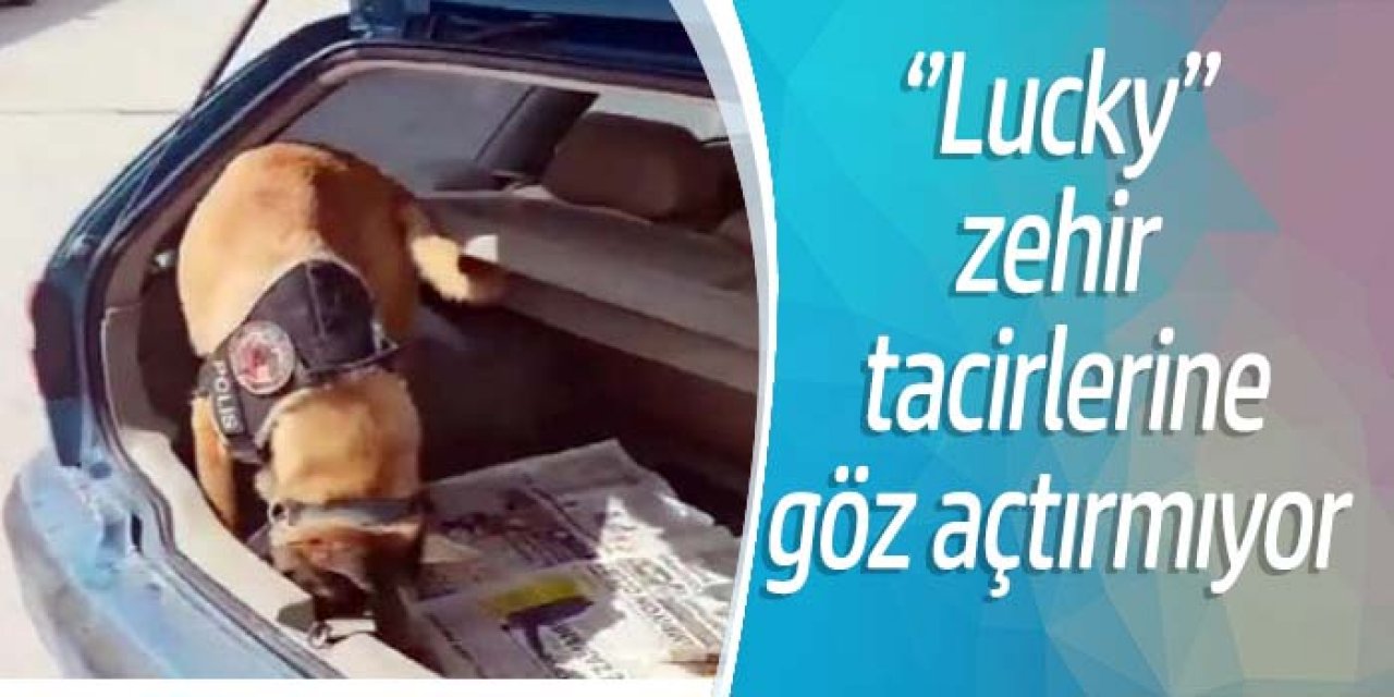 NARKOTİK KÖPEĞİ 'LUCKY', 5 BİN ADET UYUŞTURUCU HAP BULDU 2 GÖZALTI