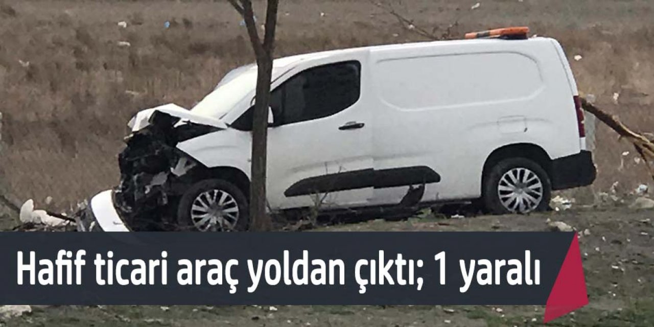 Yoldan çıkan hafif ticari araç, ağaca çarptı sürücüsü yaralandı