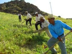 Çiftçiler bu habere dikkat!