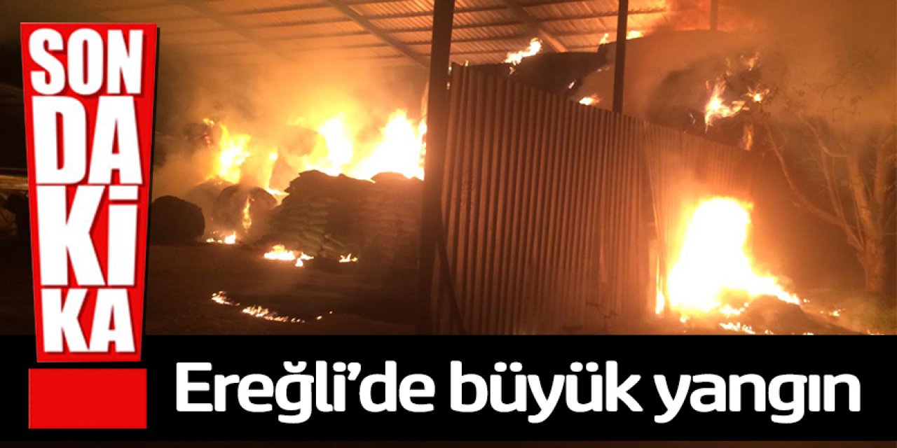 Ereğli’de çıkan büyük yangında saman balyaları yandı