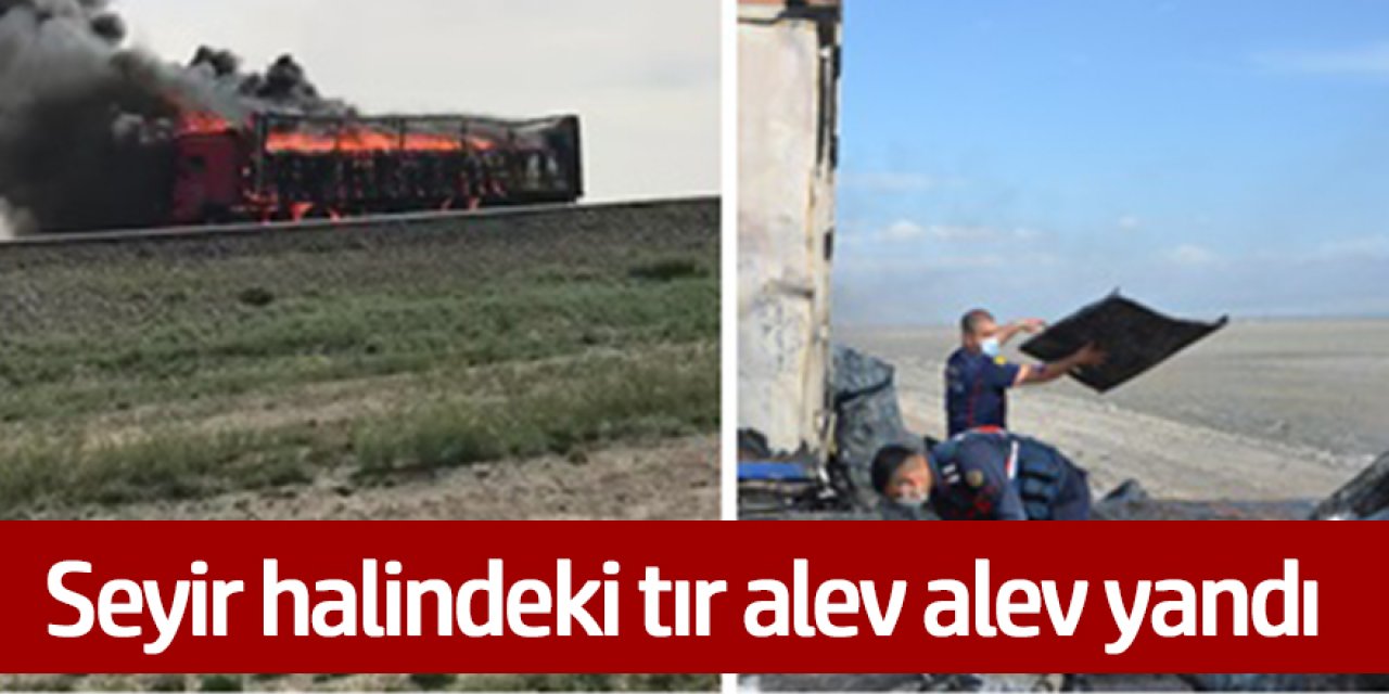 Beyaz eşya yüklü TIR alev alev yandı