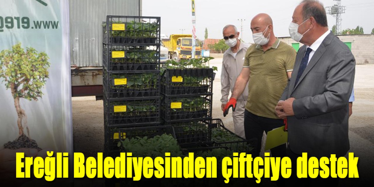 Ereğli Belediyesinden fide desteği