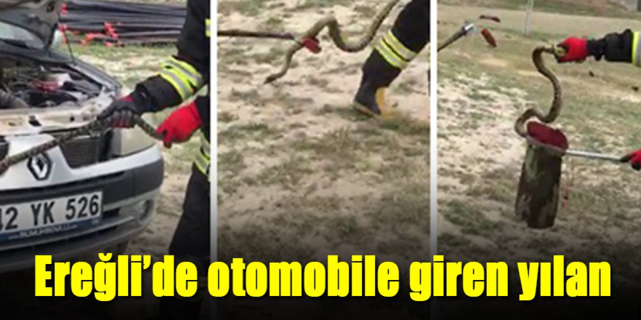 Ereğli İtfaiyeden yılan kurtarma operasyonu