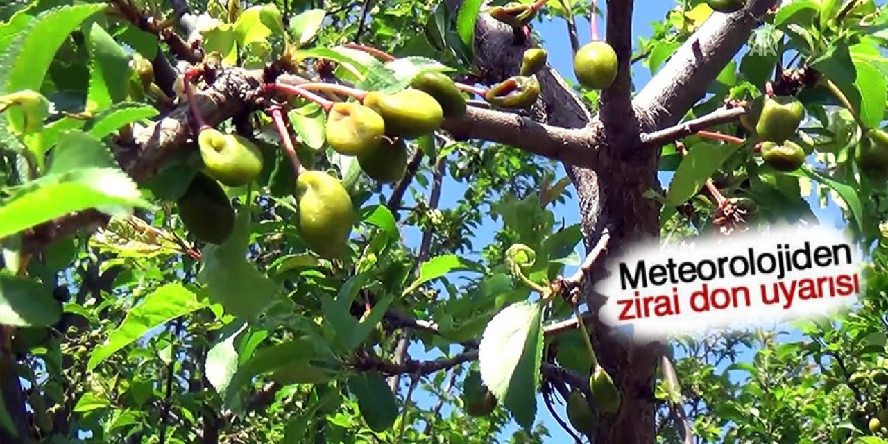 Zirai Don Uyarısı!