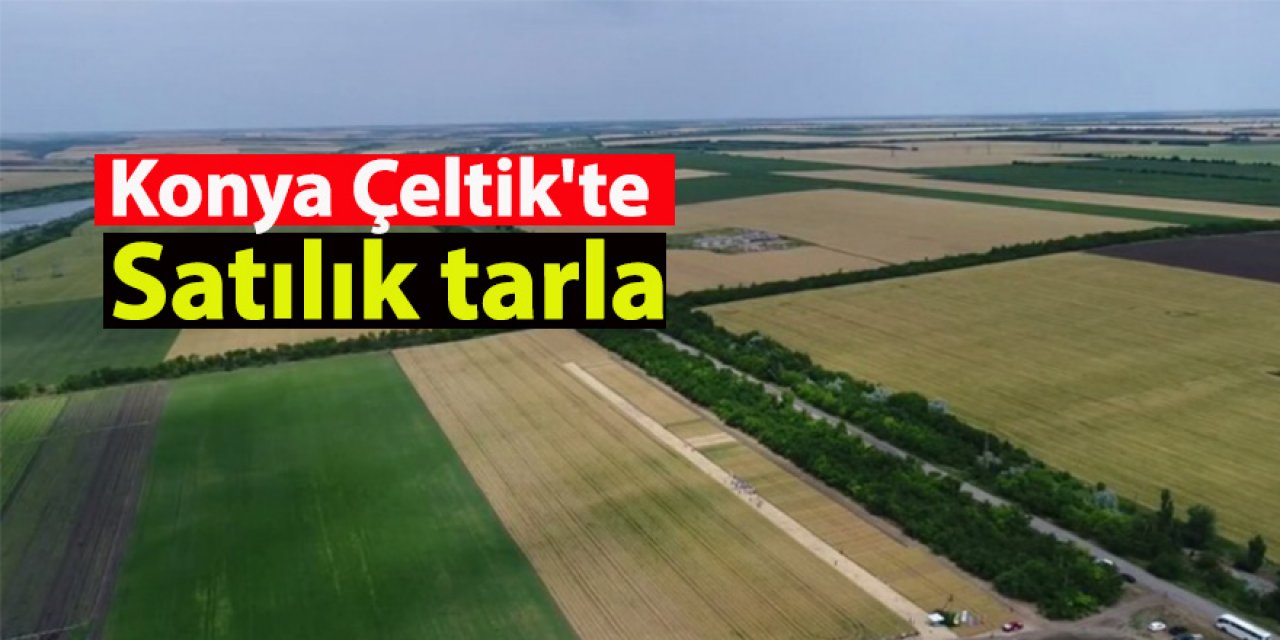 Konya Çeltik'te Satılık tarla
