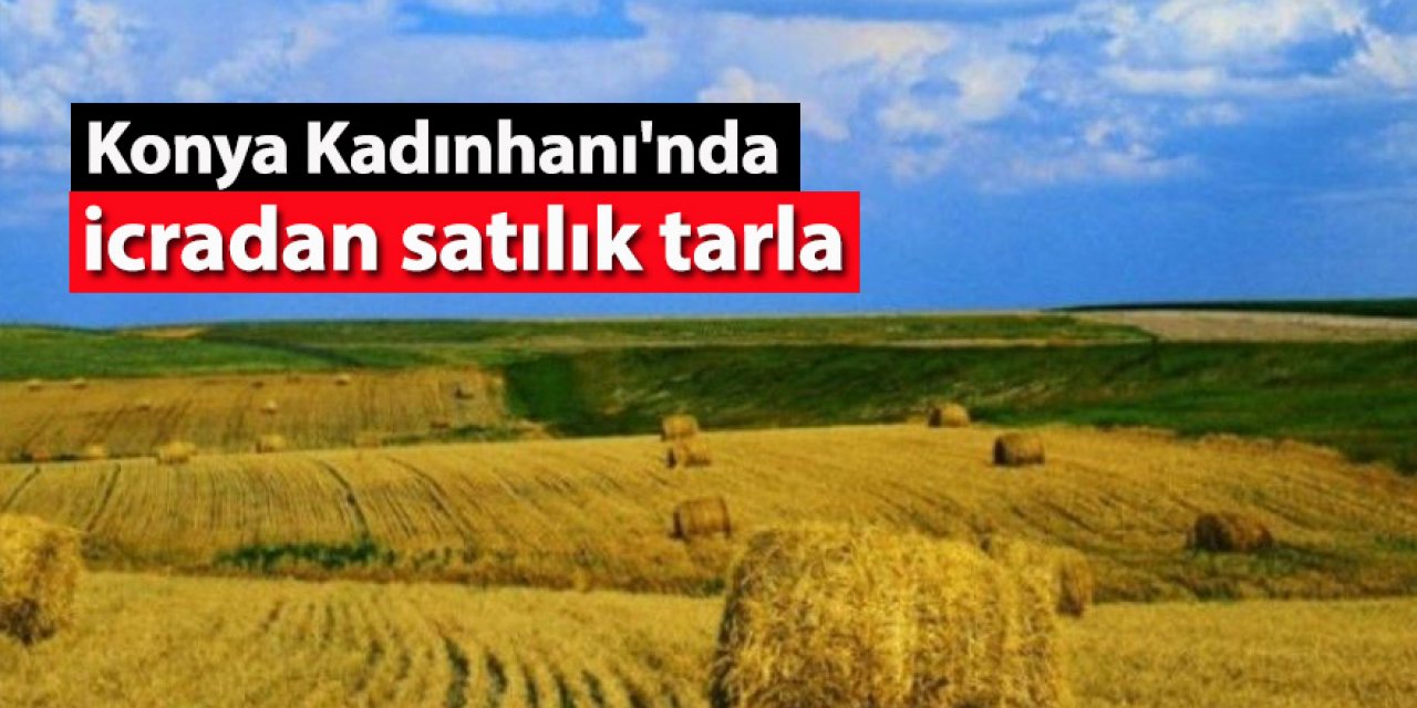 Konya Kadınhanı'nda  icradan satılık tarla 