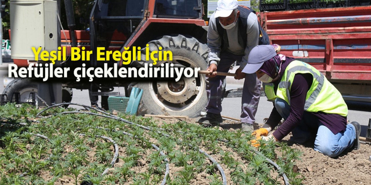 Ereğli’de Refüjlerde çiçeklendirme çalışmaları yapılıyor