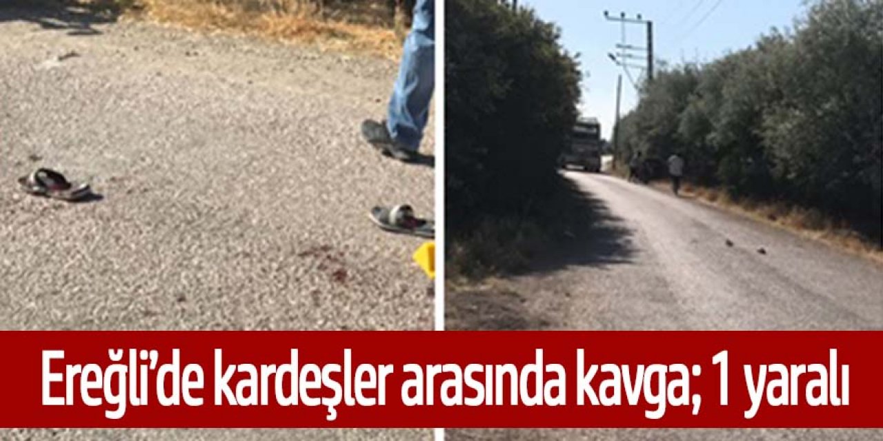 Ereğli’de Kardeşler arasında kavga: 1 yaralı