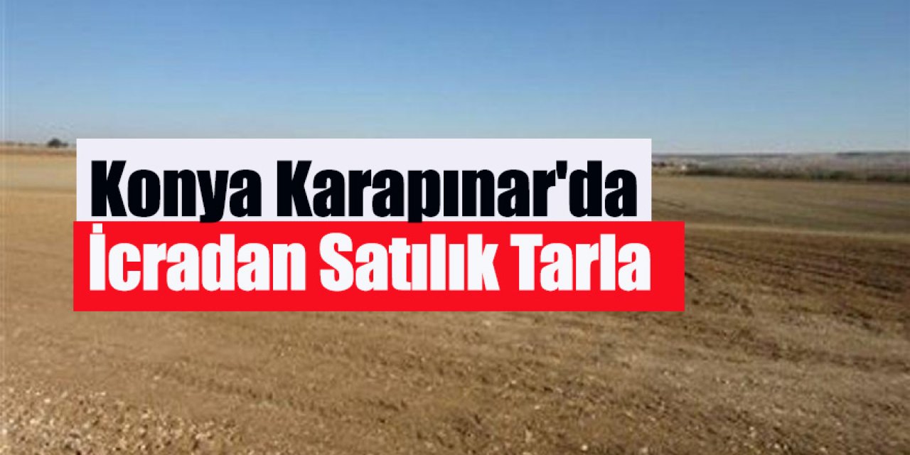 Konya Karapınar'da İcradan Satılık Tarla