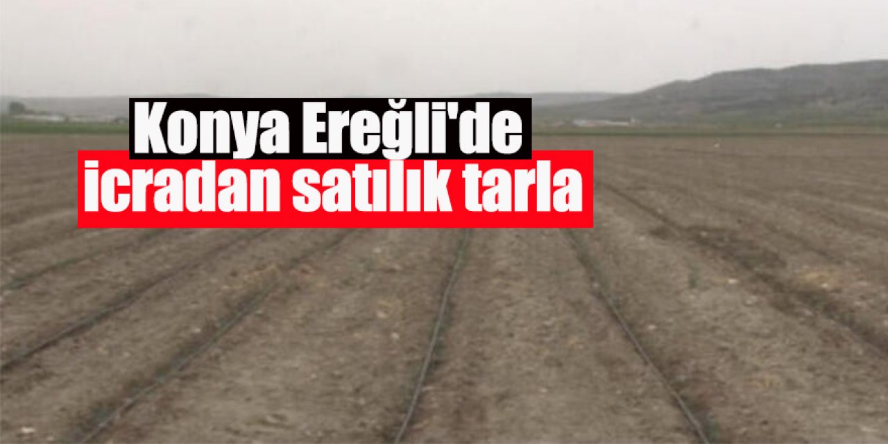 Konya Ereğli'de icradan satılık tarla