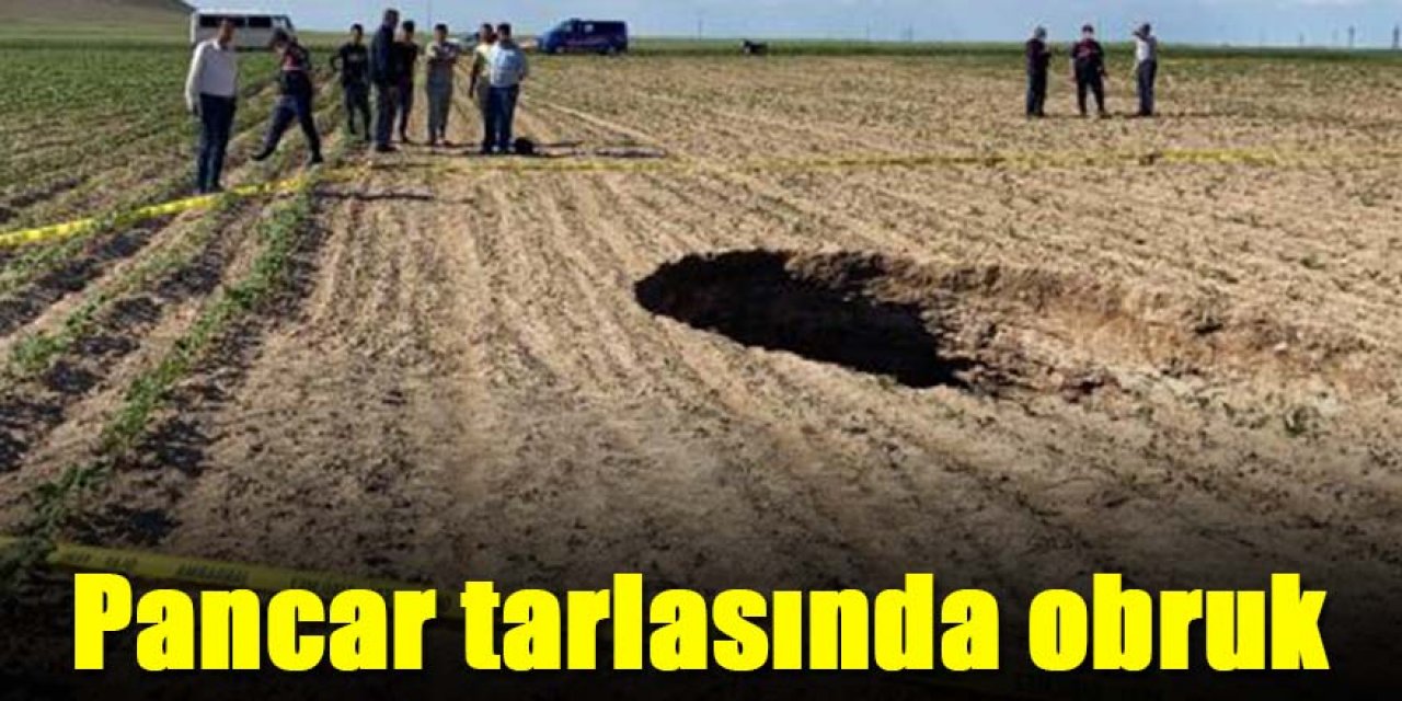 Pancar tarlasında korkutan obruk