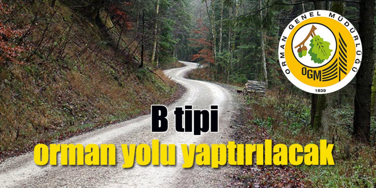 B tipi orman yolu yaptırılacak