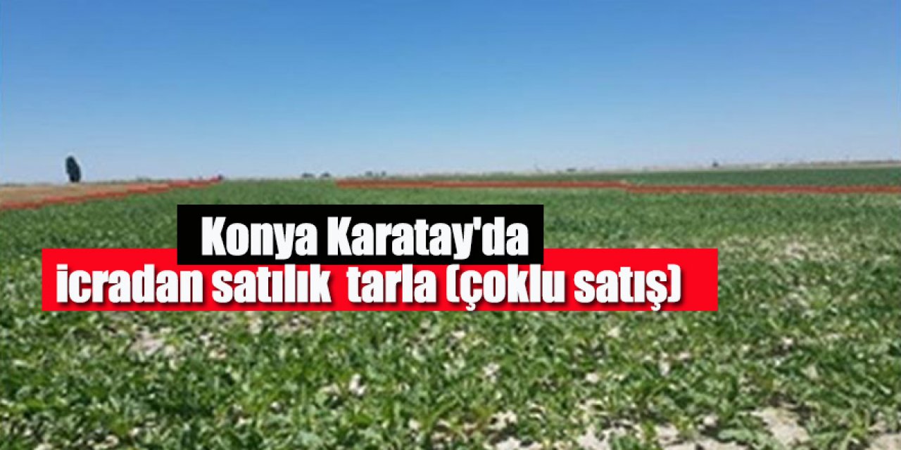 Konya Karatay'da icradan satılık  tarla (çoklu satış)