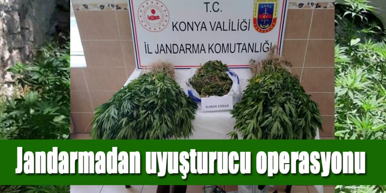 Jandarmadan uyuşturucu operasyonu