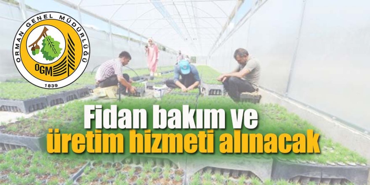 Fidan bakım ve üretim hizmeti alınacak