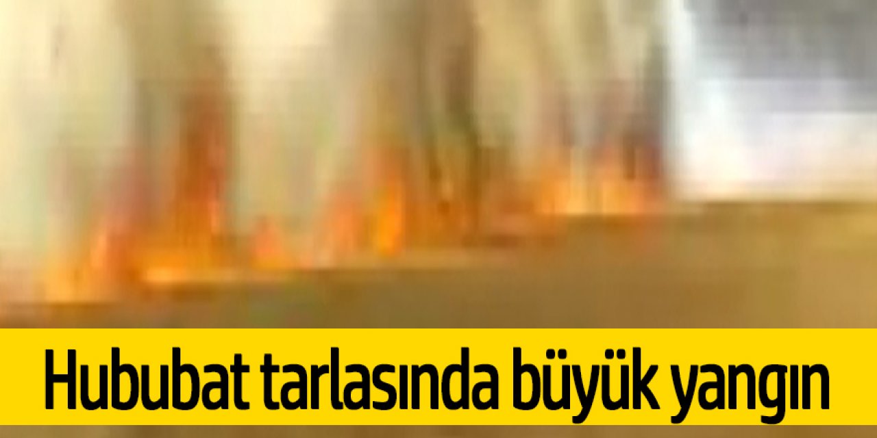 300 DÖNÜMLÜK EKİLİ TARIM ALANI KÜLE DÖNDÜ