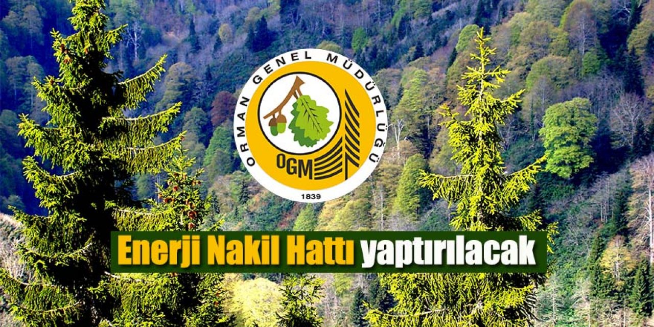 Enerji Nakil Hattı yaptırılacaktır