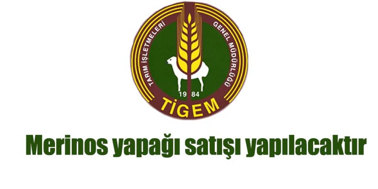 Merinos yapağı satışı yapılacaktır