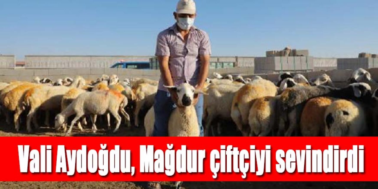 HAYVANLARI ÖLEN ÇİFTÇİYE 100 KOYUN HEDİYE EDİLDİ