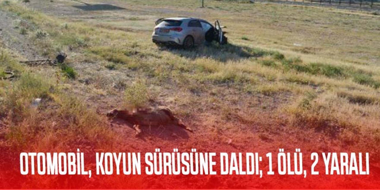OTOMOBİL, KOYUN SÜRÜSÜNE DALDI; ÇOBAN ÖLDÜ, 2 KİŞİ YARALANDI