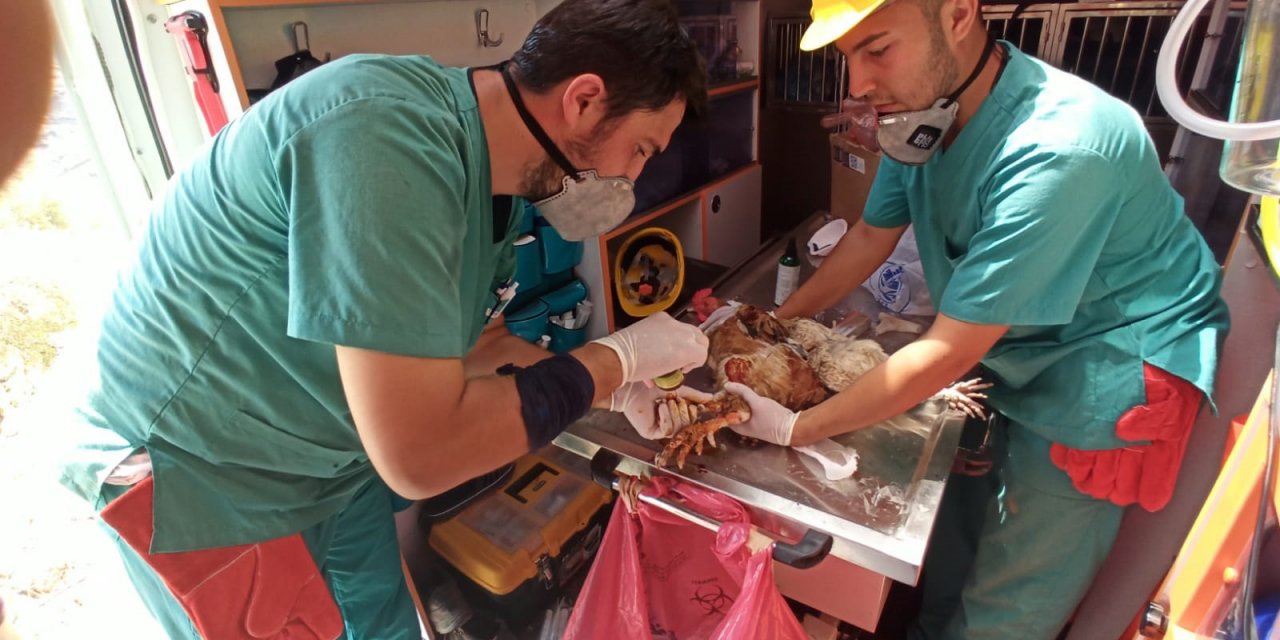 “Canbulan” Manavgat’tan Sonra Şimdi Muğla’da