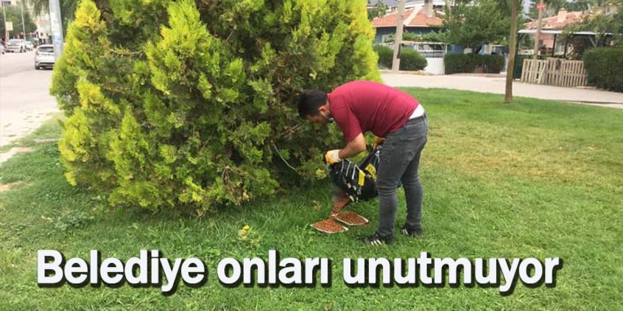Belediye onları unutmuyor