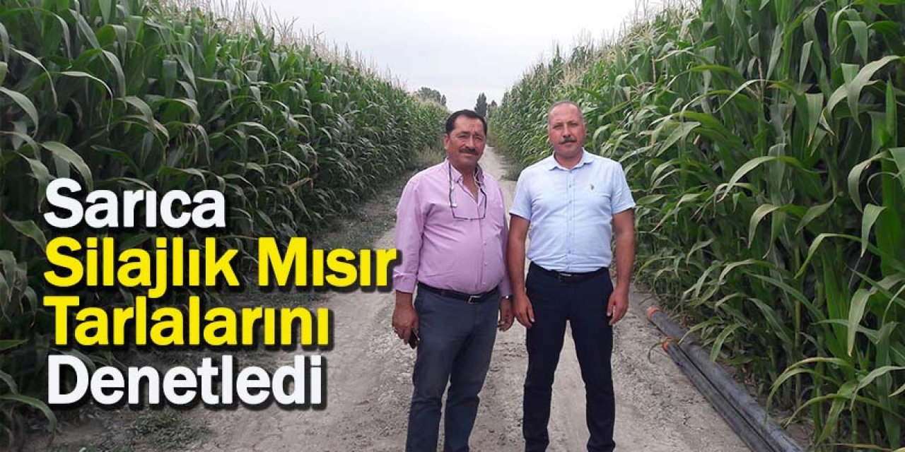 Sarıca Silajlık Mısır Tarlalarını Denetledi