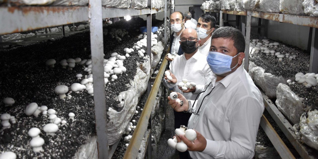 KOP Destekli Kalkınma Projelerine Yerinde İnceleme 